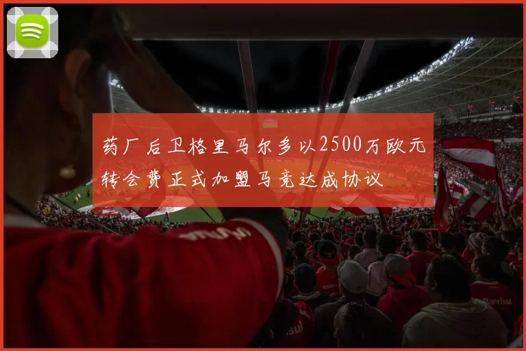 药厂后卫格里马尔多以2500万欧元转会费正式加盟马竞达成协议