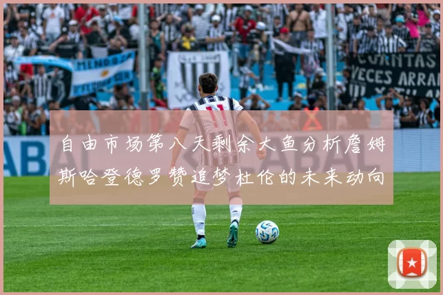 自由市场第八天剩余大鱼分析詹姆斯哈登德罗赞追梦杜伦的未来动向