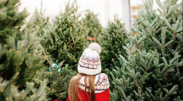 CHRISTMAS TREE OPTIONS IN IRELAND