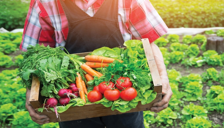 Top 5 Organic Foods for Better Health
