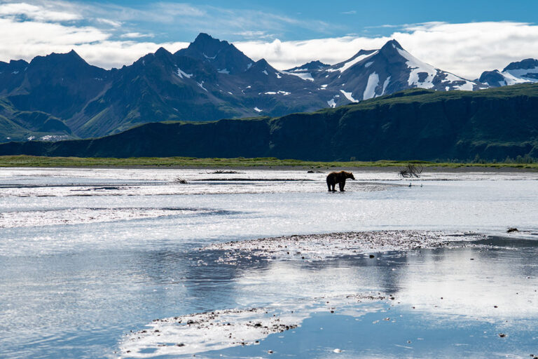 The National Alaska Day